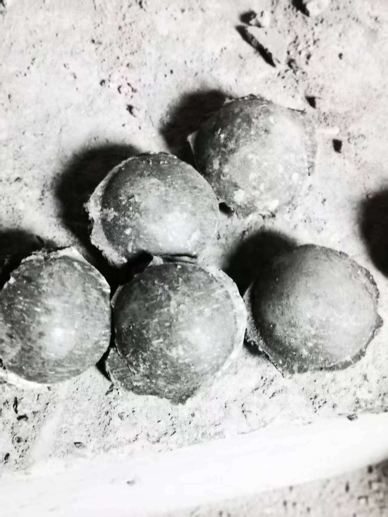 7f0149689ab6257cb8fa0718faa2423a